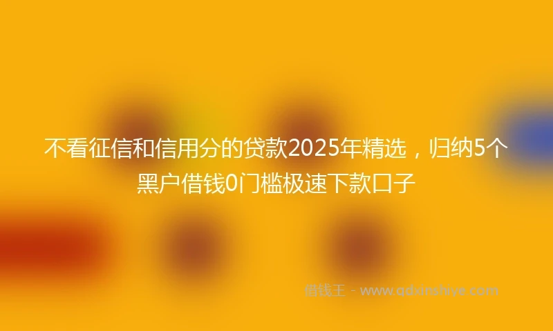 不看征信和信用分的贷款2025年精选，归纳5个黑户借钱0门槛极速下款口子