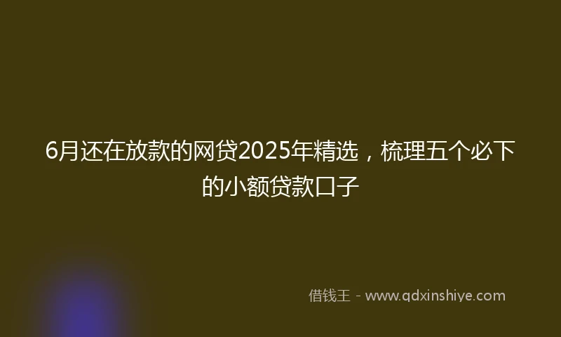 6月还在放款的网贷2025年精选，梳理五个必下的小额贷款口子
