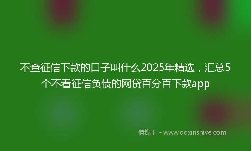 不查征信下款的口子叫什么2025年精选，汇总5个不看征信负债的网贷百分百下款app