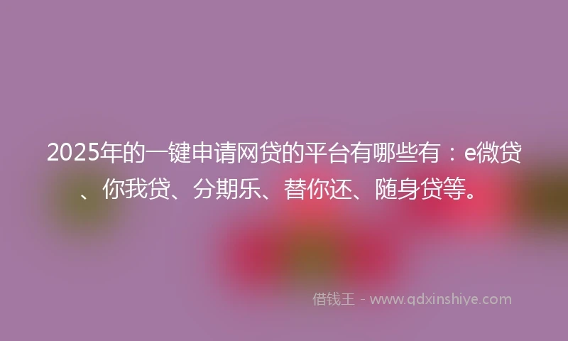 2025年的一键申请网贷的平台有哪些有：e微贷、你我贷、分期乐、替你还、随身贷等。
