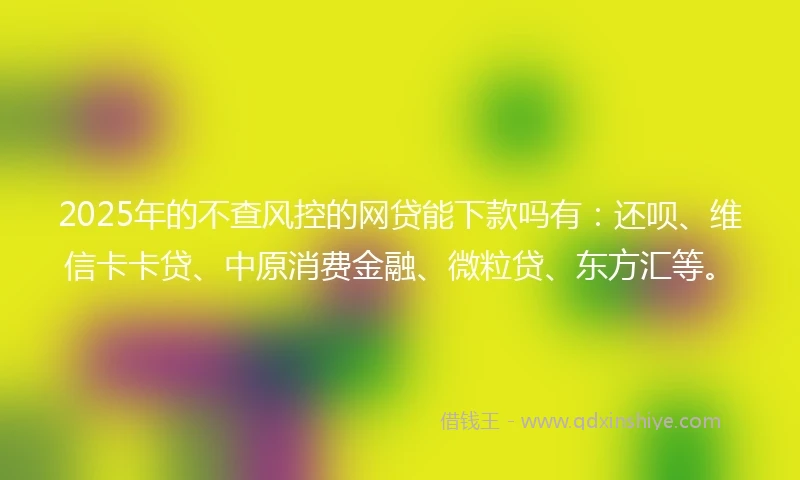 2025年的不查风控的网贷能下款吗有：还呗、维信卡卡贷、中原消费金融、微粒贷、东方汇等。