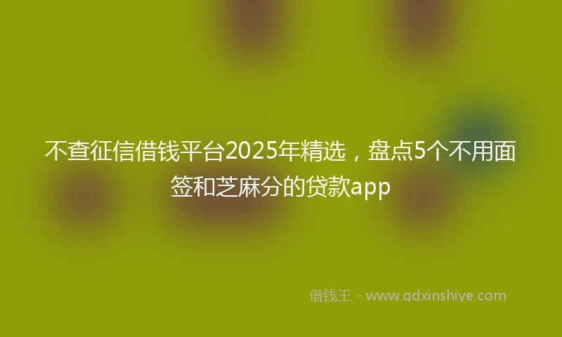 不查征信借钱平台2025年精选，盘点5个不用面签和芝麻分的贷款app