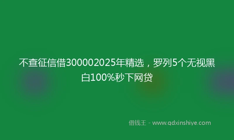 不查征信借300002025年精选，罗列5个无视黑白100%秒下网贷