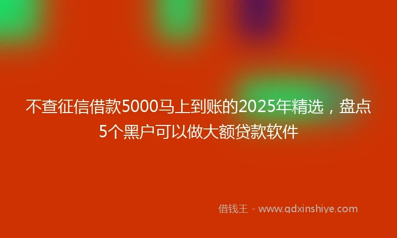 不查征信借款5000马上到账的2025年精选，盘点5个黑户可以做大额贷款软件