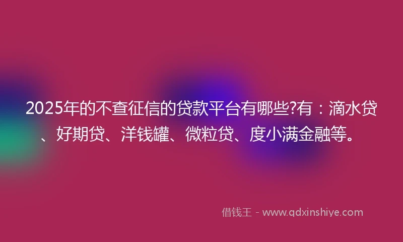 2025年的不查征信的贷款平台有哪些?有：滴水贷、好期贷、洋钱罐、微粒贷、度小满金融等。