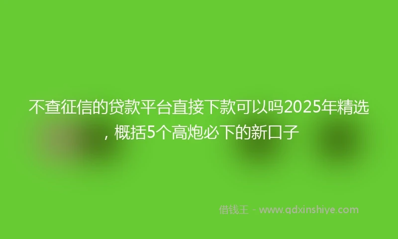 不查征信的贷款平台直接下款可以吗2025年精选，概括5个高炮必下的新口子
