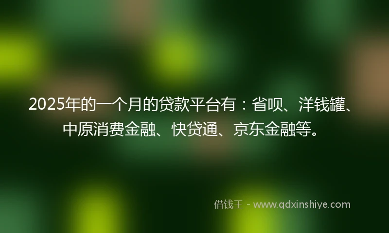 2025年的一个月的贷款平台有：省呗、洋钱罐、中原消费金融、快贷通、京东金融等。