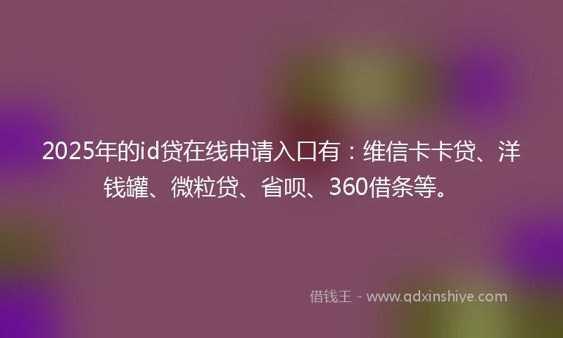 2025年的id贷在线申请入口有：维信卡卡贷、洋钱罐、微粒贷、省呗、360借条等。