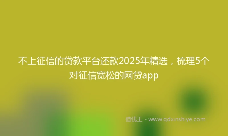 不上征信的贷款平台还款2025年精选，梳理5个对征信宽松的网贷app