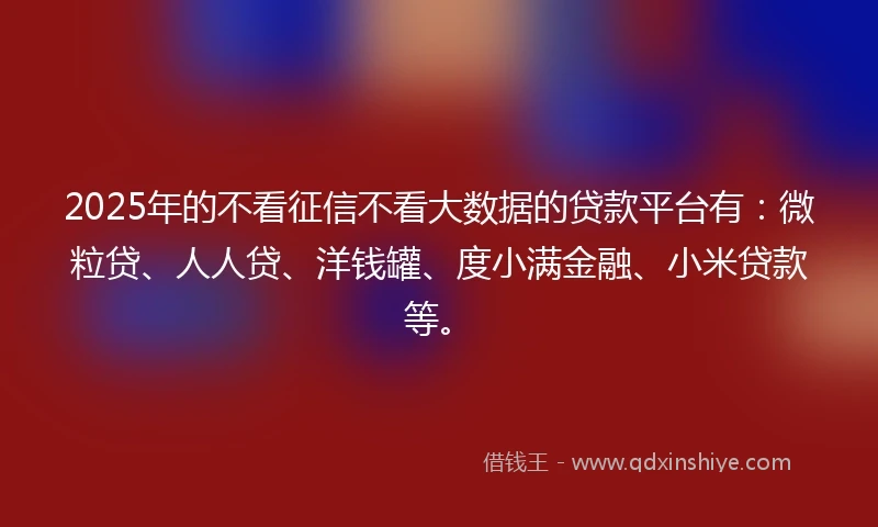 2025年的不看征信不看大数据的贷款平台有：微粒贷、人人贷、洋钱罐、度小满金融、小米贷款等。