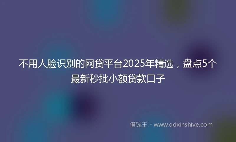 不用人脸识别的网贷平台2025年精选，盘点5个最新秒批小额贷款口子