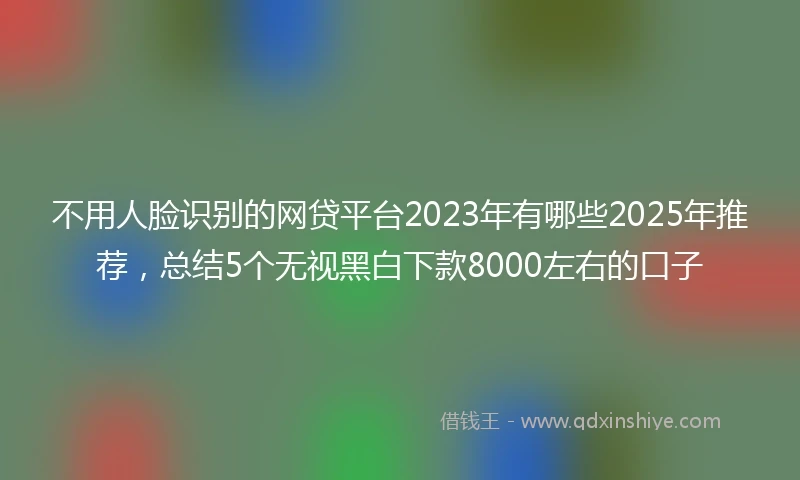 不用人脸识别的网贷平台2023年有哪些2025年推荐，总结5个无视黑白下款8000左右的口子