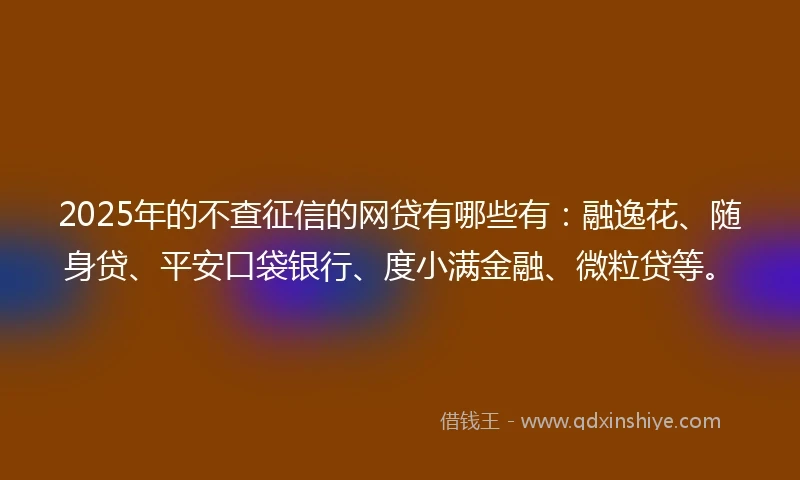 2025年的不查征信的网贷有哪些有：融逸花、随身贷、平安口袋银行、度小满金融、微粒贷等。