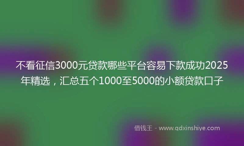 不看征信3000元贷款哪些平台容易下款成功2025年精选，汇总五个1000至5000的小额贷款口子