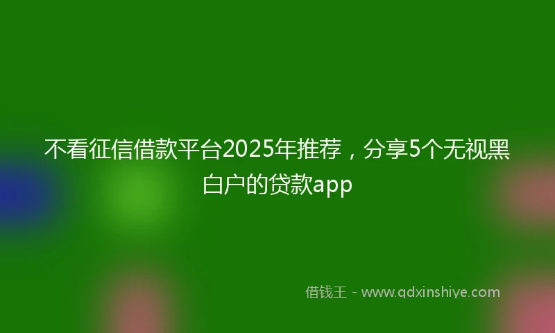 不看征信借款平台2025年推荐，分享5个无视黑白户的贷款app