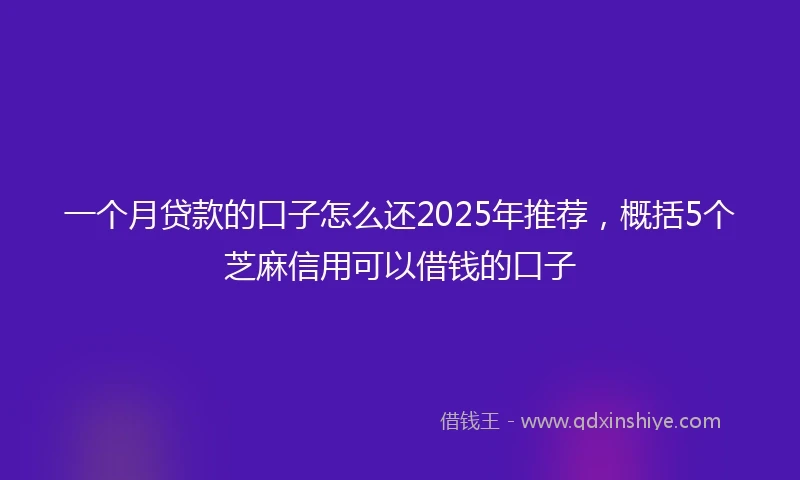 一个月贷款的口子怎么还2025年推荐，概括5个芝麻信用可以借钱的口子