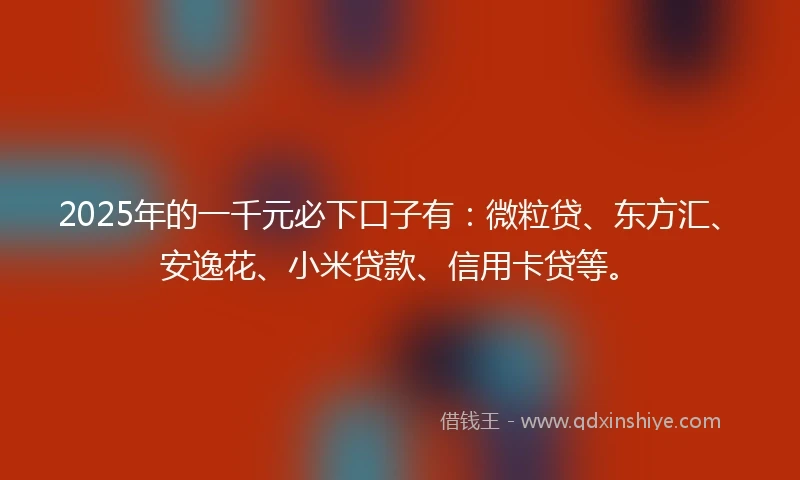 2025年的一千元必下口子有：微粒贷、东方汇、安逸花、小米贷款、信用卡贷等。