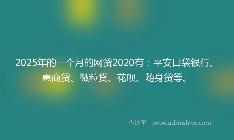 2025年的一个月的网贷2020有：平安口袋银行、惠商贷、微粒贷、花呗、随身贷等。