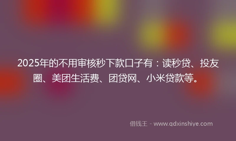 2025年的不用审核秒下款口子有：读秒贷、投友圈、美团生活费、团贷网、小米贷款等。