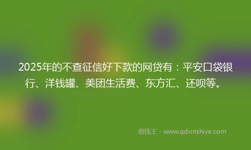 2025年的不查征信好下款的网贷有：平安口袋银行、洋钱罐、美团生活费、东方汇、还呗等。