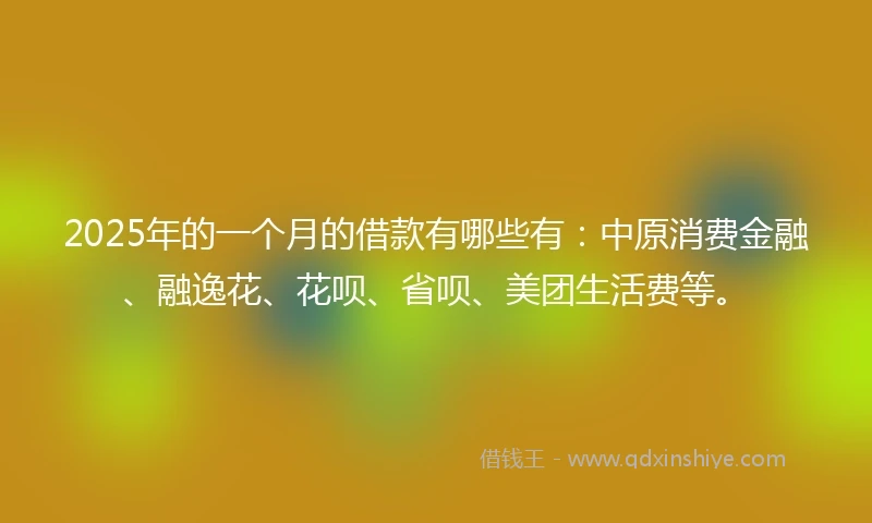 2025年的一个月的借款有哪些有：中原消费金融、融逸花、花呗、省呗、美团生活费等。