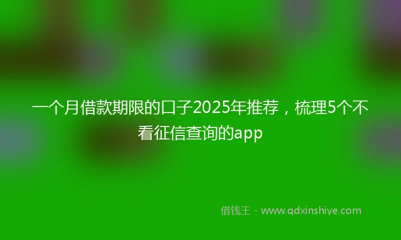 一个月借款期限的口子2025年推荐，梳理5个不看征信查询的app
