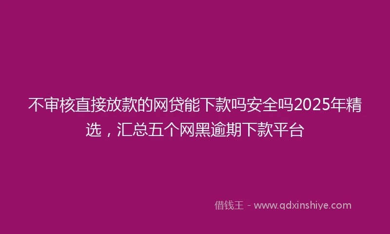 不审核直接放款的网贷能下款吗安全吗2025年精选，汇总五个网黑逾期下款平台