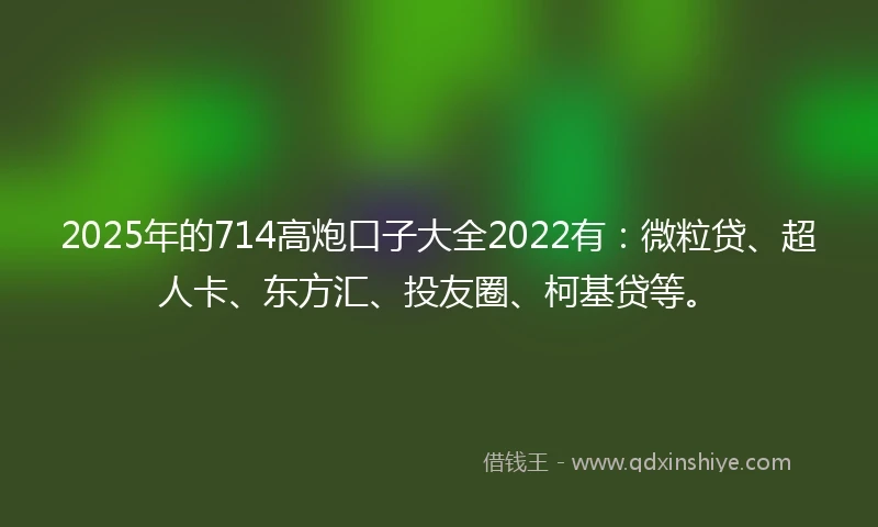 2025年的714高炮口子大全2022有：微粒贷、超人卡、东方汇、投友圈、柯基贷等。