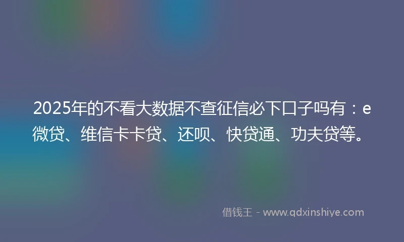 2025年的不看大数据不查征信必下口子吗有：e微贷、维信卡卡贷、还呗、快贷通、功夫贷等。