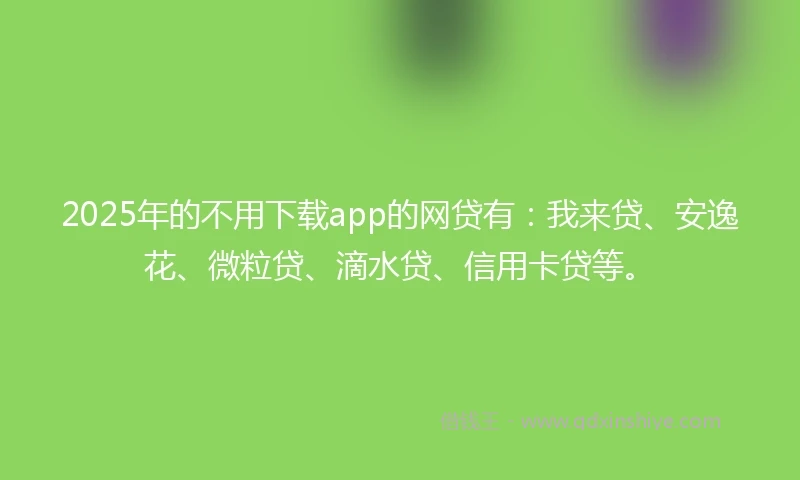 2025年的不用下载app的网贷有：我来贷、安逸花、微粒贷、滴水贷、信用卡贷等。