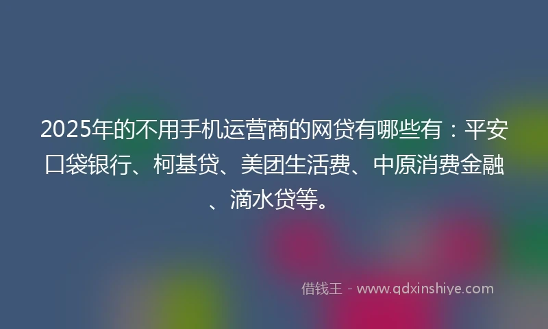 2025年的不用手机运营商的网贷有哪些有：平安口袋银行、柯基贷、美团生活费、中原消费金融、滴水贷等。