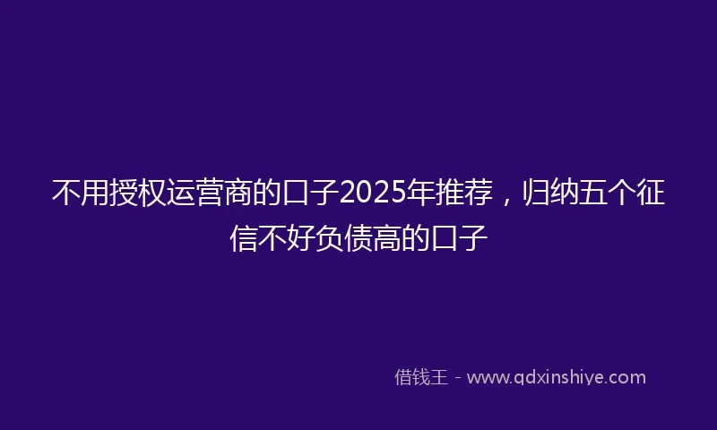 不用授权运营商的口子2025年推荐，归纳五个征信不好负债高的口子