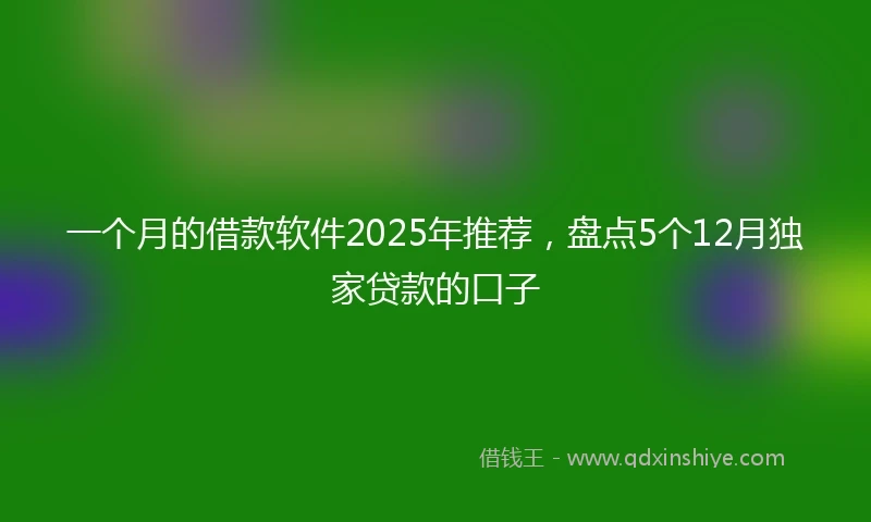 一个月的借款软件2025年推荐，盘点5个12月独家贷款的口子