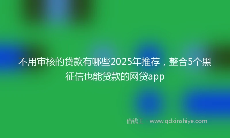 不用审核的贷款有哪些2025年推荐，整合5个黑征信也能贷款的网贷app