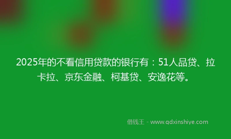 2025年的不看信用贷款的银行有：51人品贷、拉卡拉、京东金融、柯基贷、安逸花等。