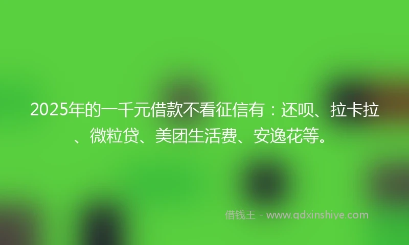 2025年的一千元借款不看征信有：还呗、拉卡拉、微粒贷、美团生活费、安逸花等。