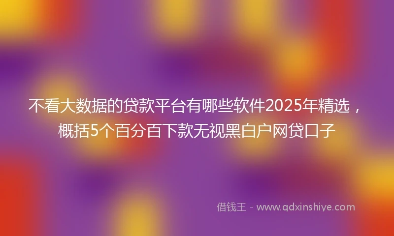 不看大数据的贷款平台有哪些软件2025年精选，概括5个百分百下款无视黑白户网贷口子