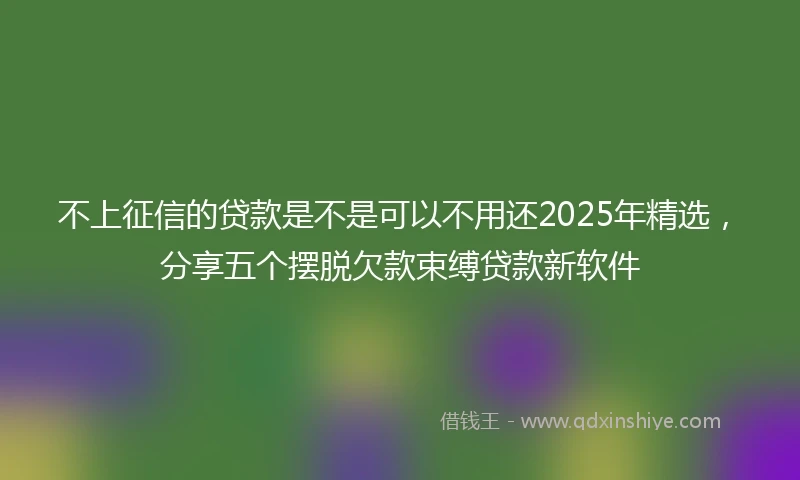 不上征信的贷款是不是可以不用还2025年精选，分享五个摆脱欠款束缚贷款新软件