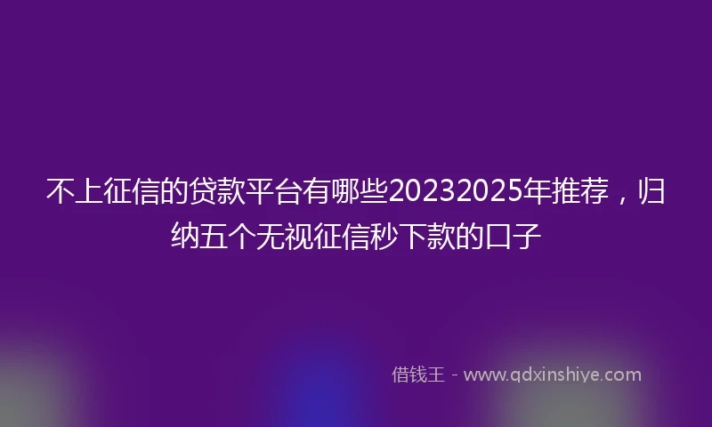 不上征信的贷款平台有哪些20232025年推荐，归纳五个无视征信秒下款的口子