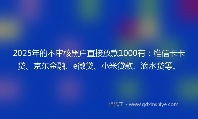 2025年的不审核黑户直接放款1000有：维信卡卡贷、京东金融、e微贷、小米贷款、滴水贷等。