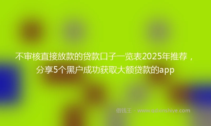 不审核直接放款的贷款口子一览表2025年推荐，分享5个黑户成功获取大额贷款的app
