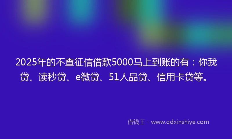 2025年的不查征信借款5000马上到账的有：你我贷、读秒贷、e微贷、51人品贷、信用卡贷等。