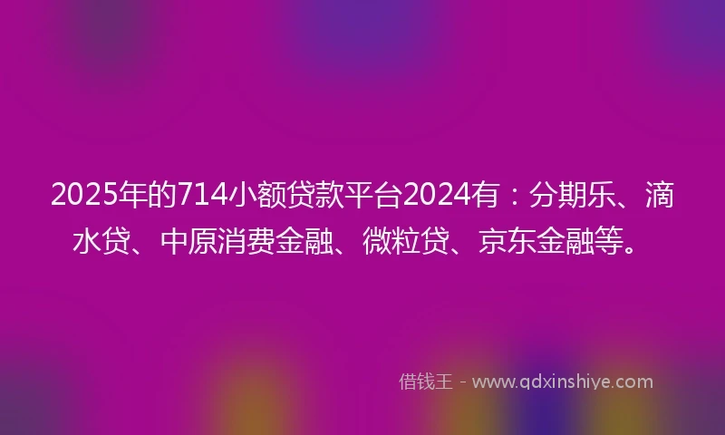 2025年的714小额贷款平台2024有：分期乐、滴水贷、中原消费金融、微粒贷、京东金融等。