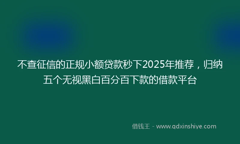 不查征信的正规小额贷款秒下2025年推荐，归纳五个无视黑白百分百下款的借款平台