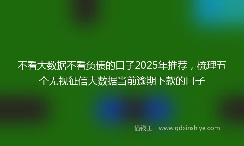 不看大数据不看负债的口子2025年推荐，梳理五个无视征信大数据当前逾期下款的口子