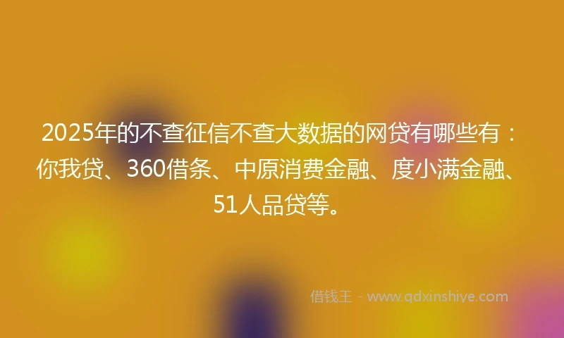 2025年的不查征信不查大数据的网贷有哪些有：你我贷、360借条、中原消费金融、度小满金融、51人品贷等。
