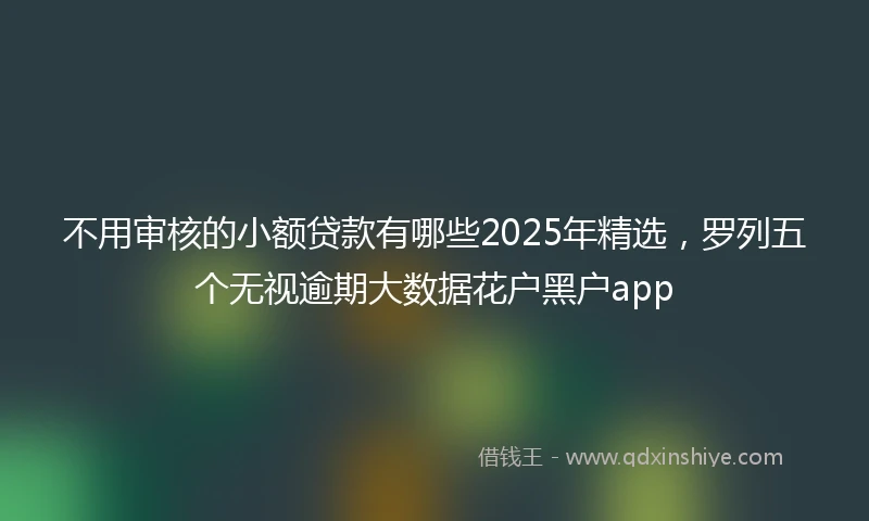不用审核的小额贷款有哪些2025年精选，罗列五个无视逾期大数据花户黑户app