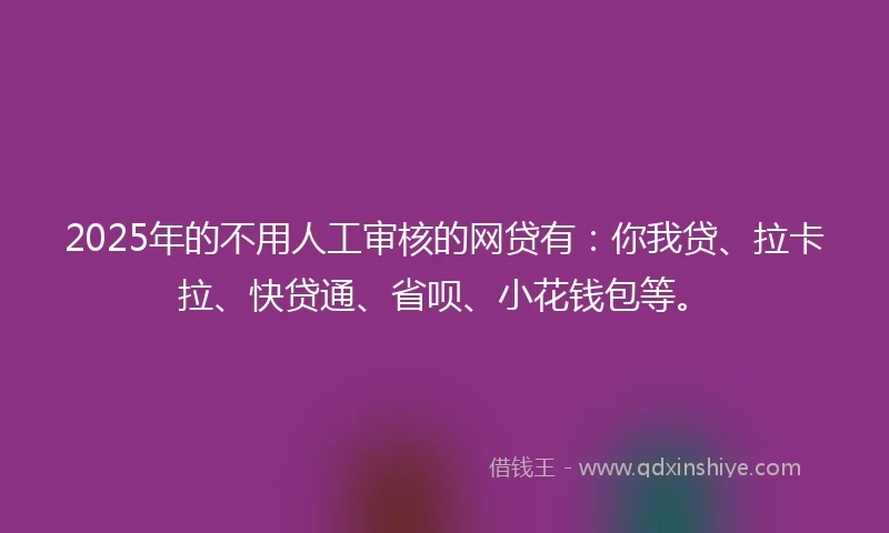 2025年的不用人工审核的网贷有：你我贷、拉卡拉、快贷通、省呗、小花钱包等。
