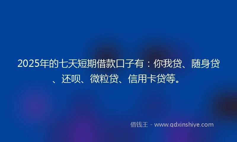 2025年的七天短期借款口子有：你我贷、随身贷、还呗、微粒贷、信用卡贷等。