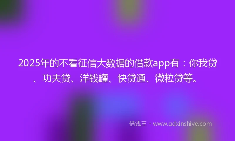 2025年的不看征信大数据的借款app有：你我贷、功夫贷、洋钱罐、快贷通、微粒贷等。